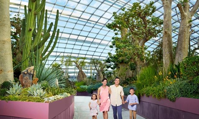 Go City: Singapore Explorer Pass